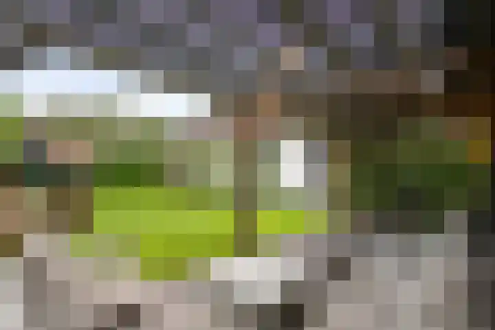 Jeudestraat 79 Zoelen thumbnail 29