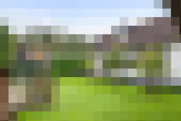 Jeudestraat 79 Zoelen thumbnail 30