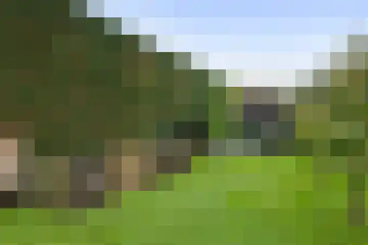 Jeudestraat 79 Zoelen thumbnail 31