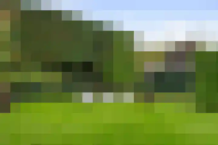 Jeudestraat 79 Zoelen thumbnail 32