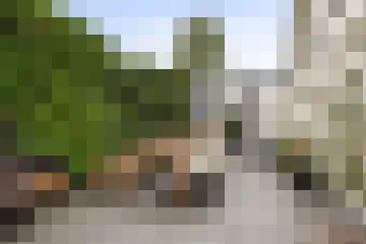 Jeudestraat 79 Zoelen thumbnail 33