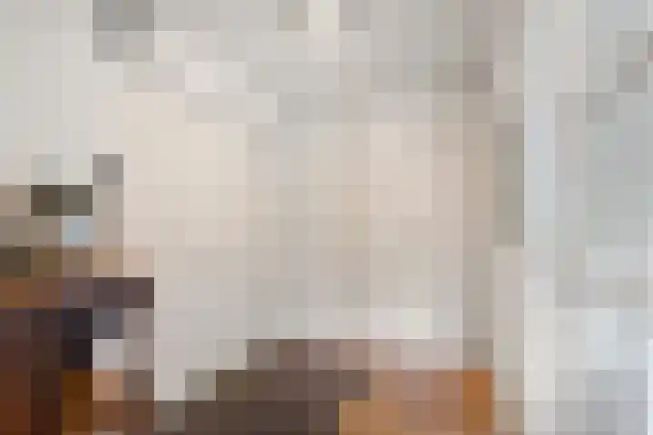 Jeudestraat 79 Zoelen thumbnail 34