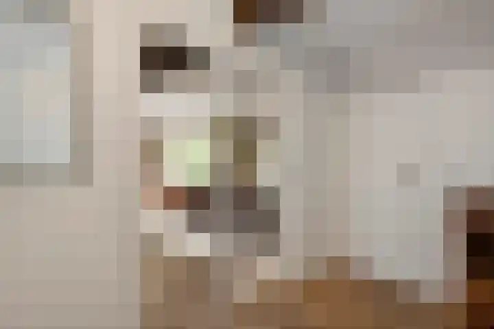 Jeudestraat 79 Zoelen thumbnail 35