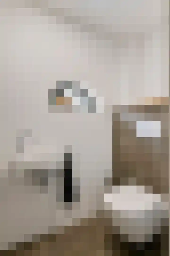 Jeudestraat 79 Zoelen thumbnail 36
