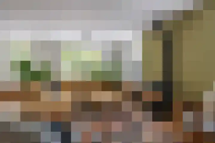 Jeudestraat 79 Zoelen thumbnail 37