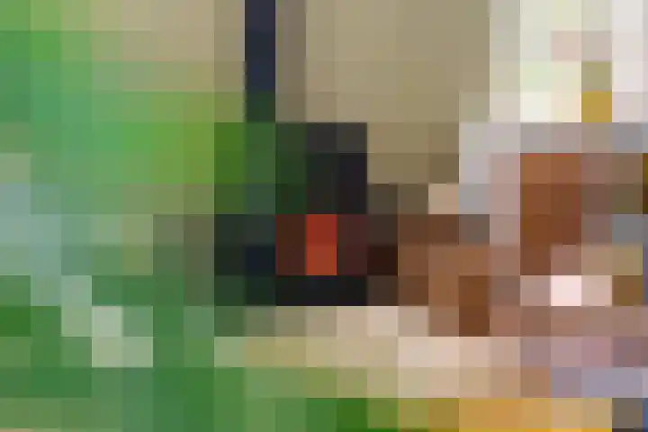 Jeudestraat 79 Zoelen thumbnail 38