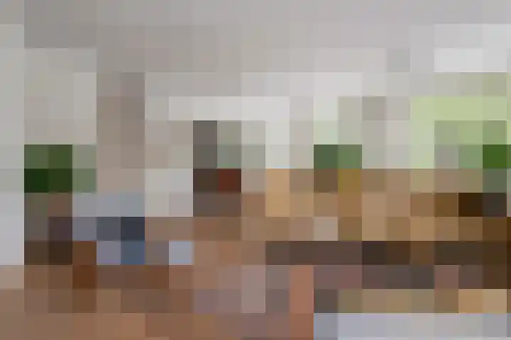Jeudestraat 79 Zoelen thumbnail 39