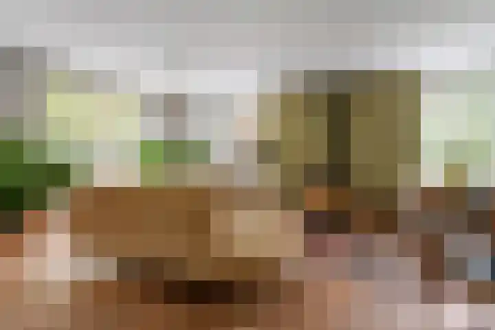 Jeudestraat 79 Zoelen thumbnail 40