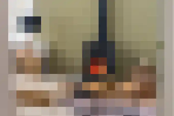 Jeudestraat 79 Zoelen thumbnail 41