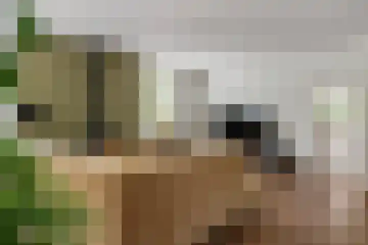 Jeudestraat 79 Zoelen thumbnail 42