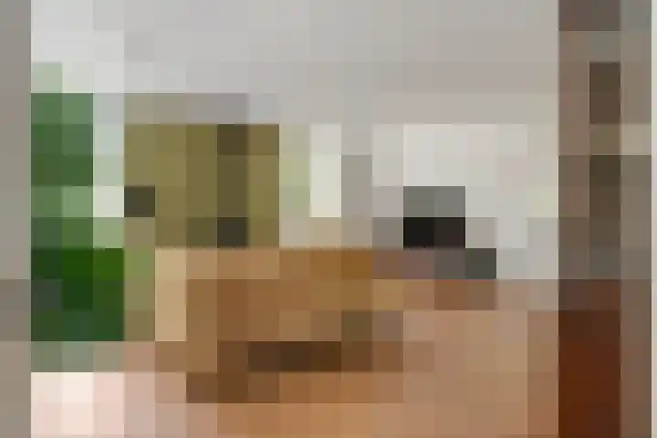 Jeudestraat 79 Zoelen thumbnail 43