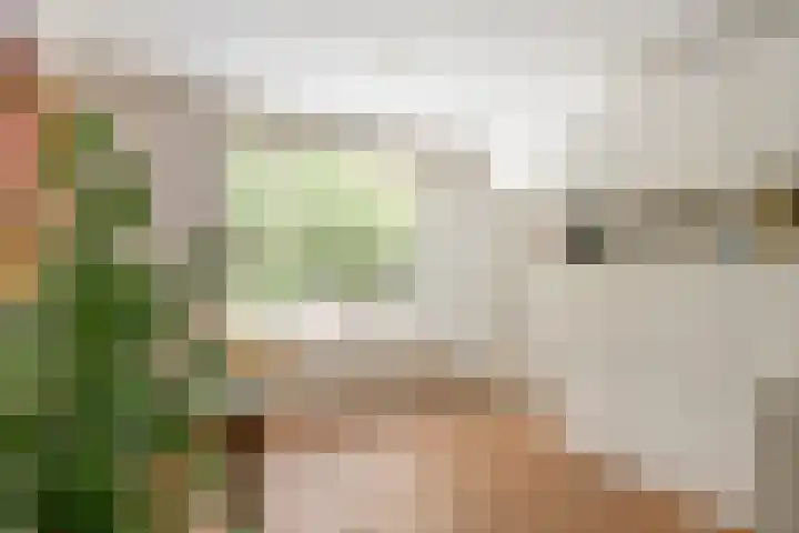 Jeudestraat 79 Zoelen thumbnail 48