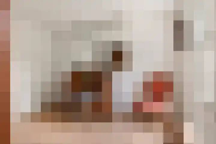 Jeudestraat 79 Zoelen thumbnail 50