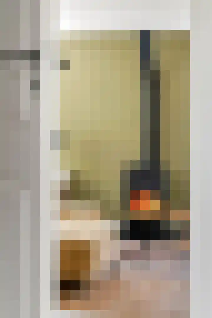 Jeudestraat 79 Zoelen thumbnail 52
