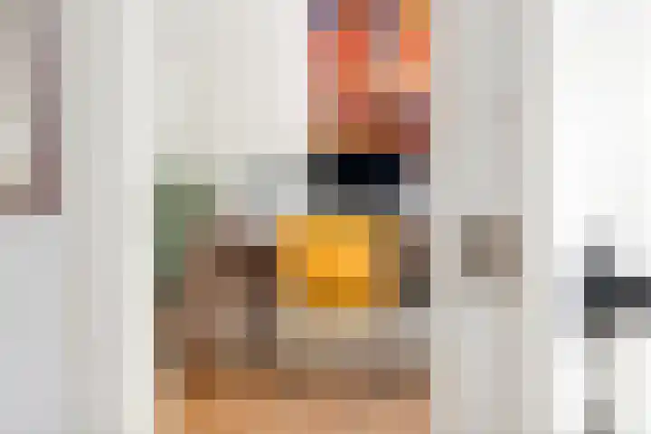 Jeudestraat 79 Zoelen thumbnail 54
