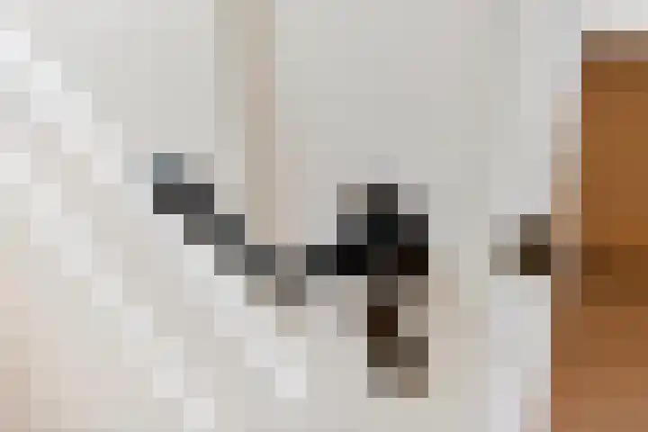 Jeudestraat 79 Zoelen thumbnail 55