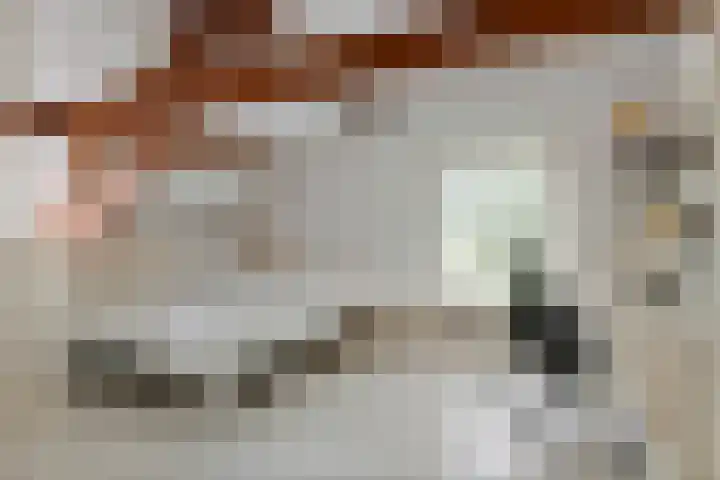 Jeudestraat 79 Zoelen thumbnail 58