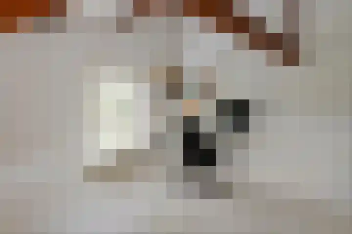 Jeudestraat 79 Zoelen thumbnail 59
