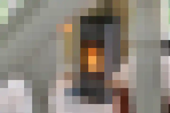 Jeudestraat 79 Zoelen thumbnail 6