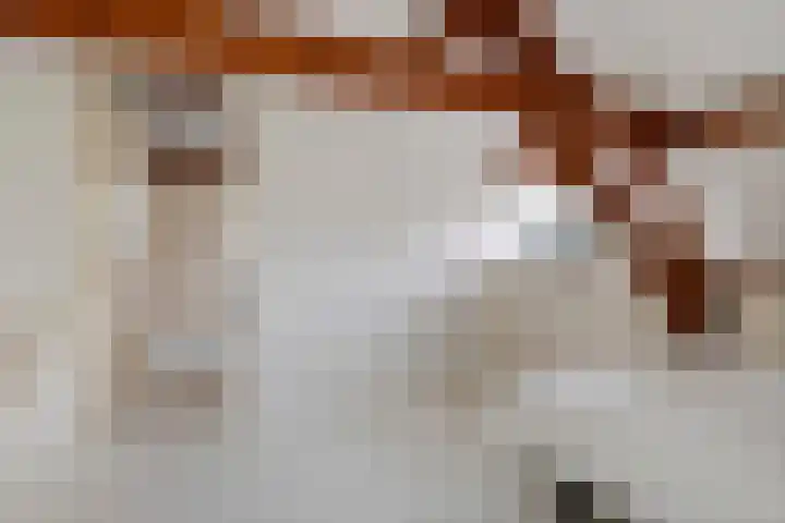Jeudestraat 79 Zoelen thumbnail 60