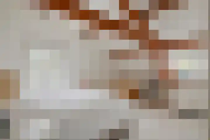 Jeudestraat 79 Zoelen thumbnail 61