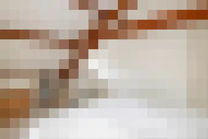 Jeudestraat 79 Zoelen thumbnail 62