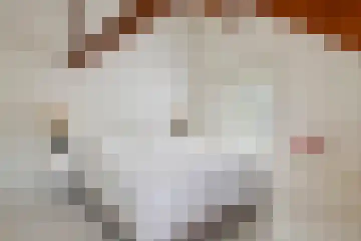 Jeudestraat 79 Zoelen thumbnail 64