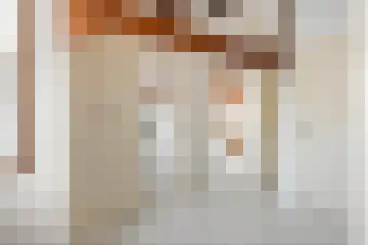 Jeudestraat 79 Zoelen thumbnail 66