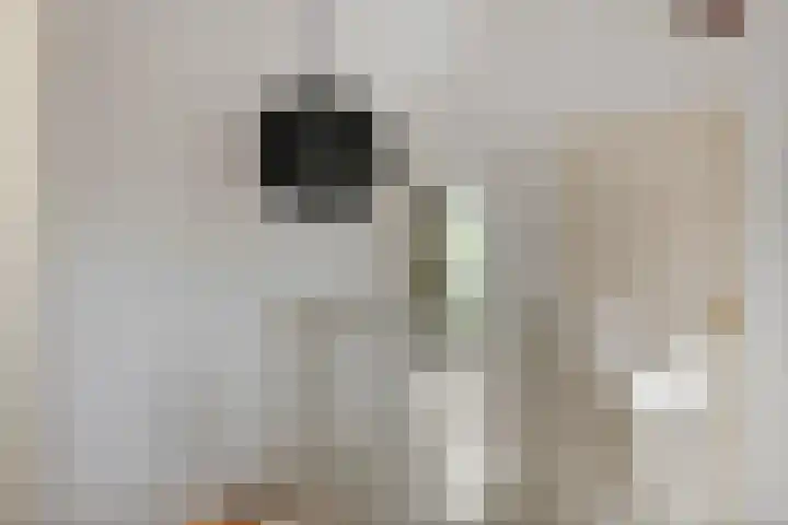 Jeudestraat 79 Zoelen thumbnail 67