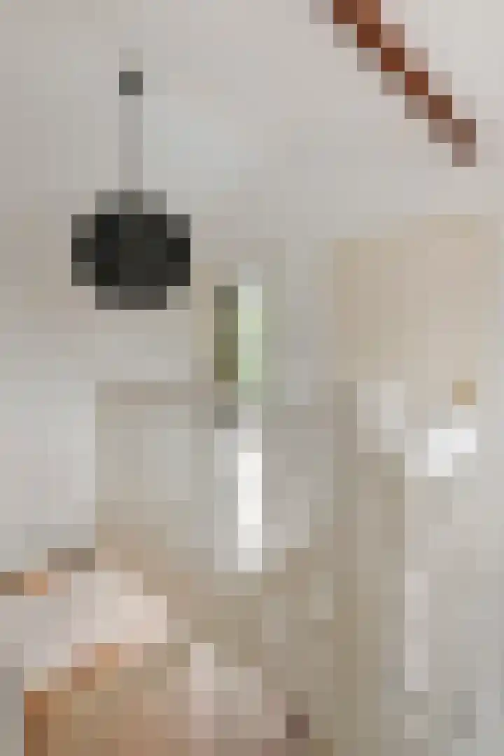 Jeudestraat 79 Zoelen thumbnail 68