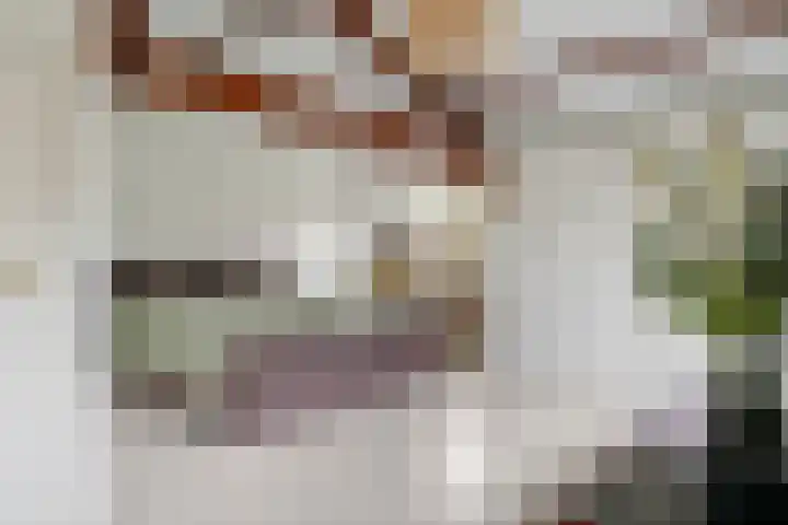 Jeudestraat 79 Zoelen thumbnail 70