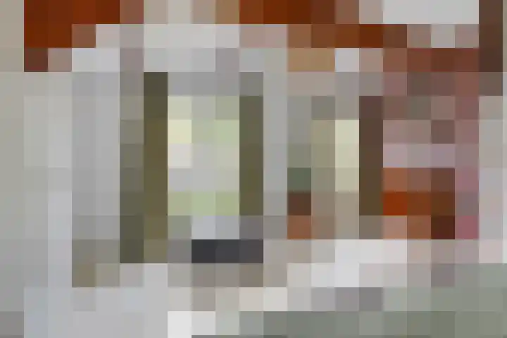 Jeudestraat 79 Zoelen thumbnail 72