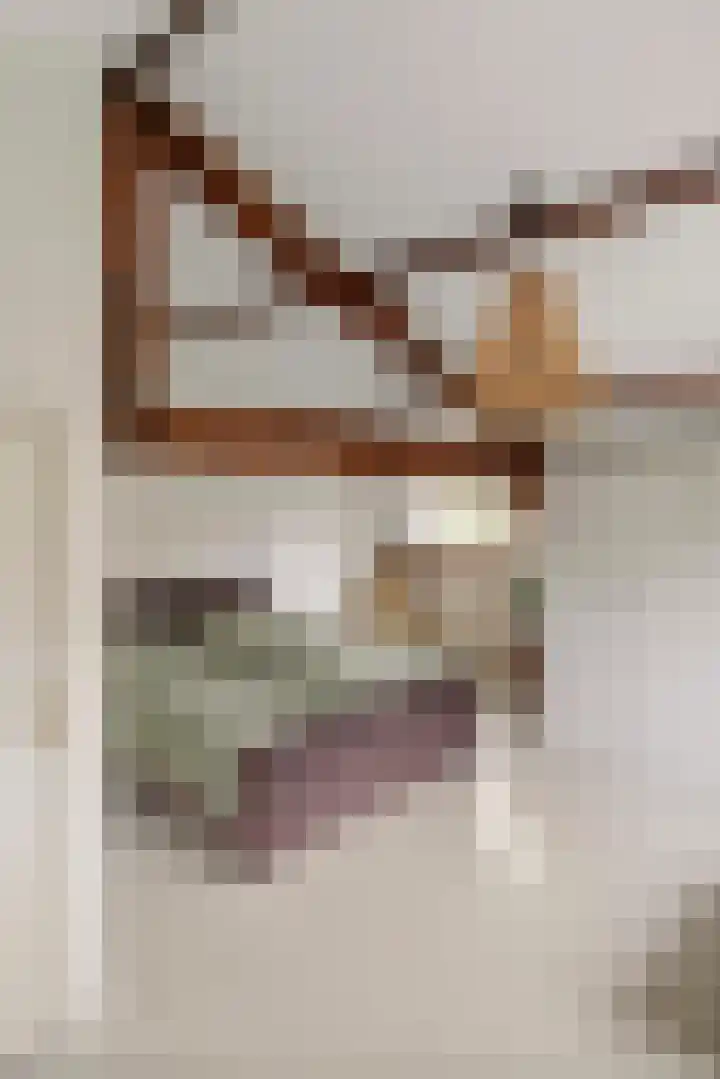 Jeudestraat 79 Zoelen thumbnail 73