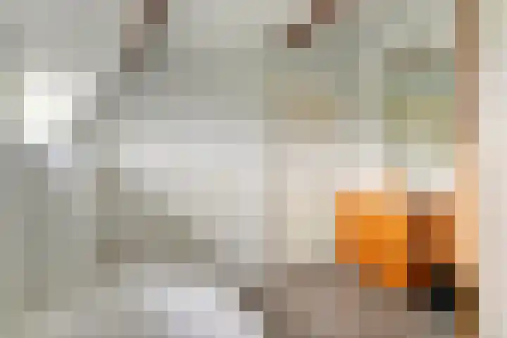 Jeudestraat 79 Zoelen thumbnail 75