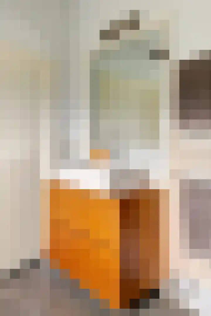 Jeudestraat 79 Zoelen thumbnail 76