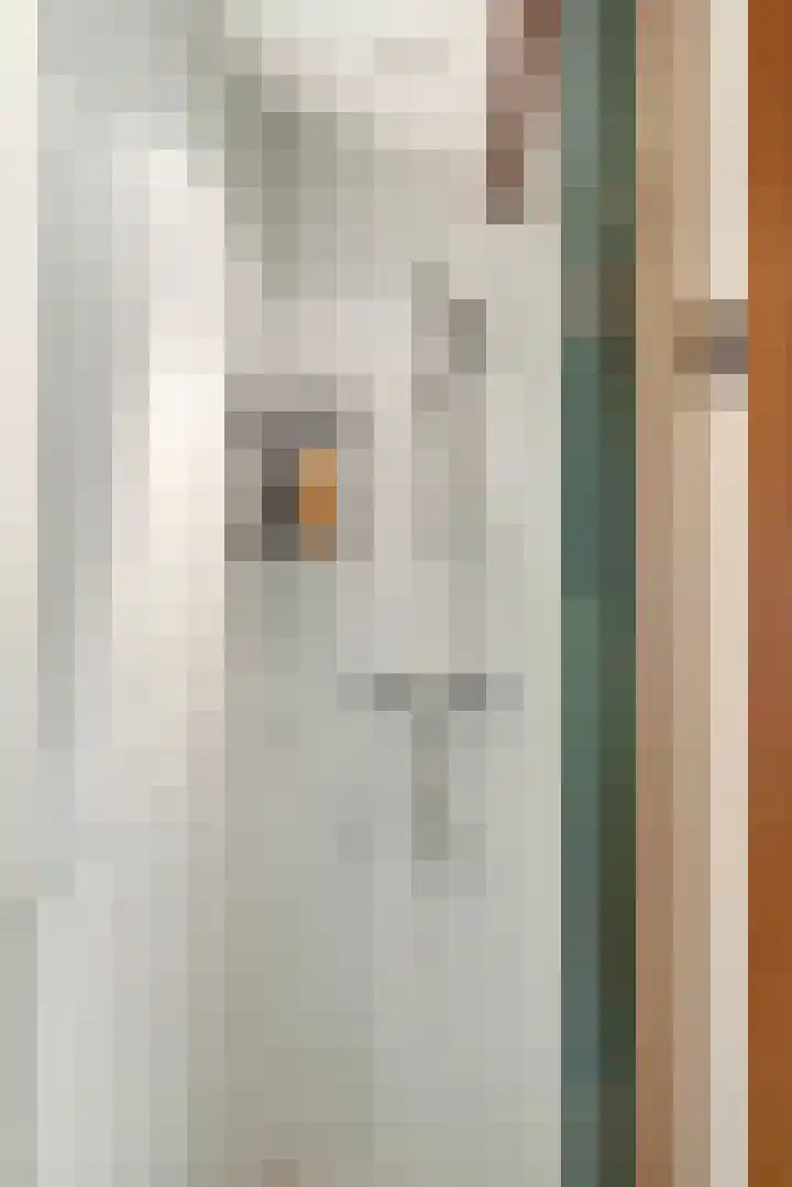 Jeudestraat 79 Zoelen thumbnail 77
