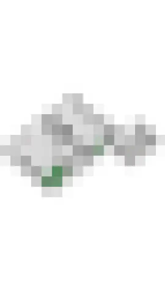 Jeudestraat 79 Zoelen thumbnail 81