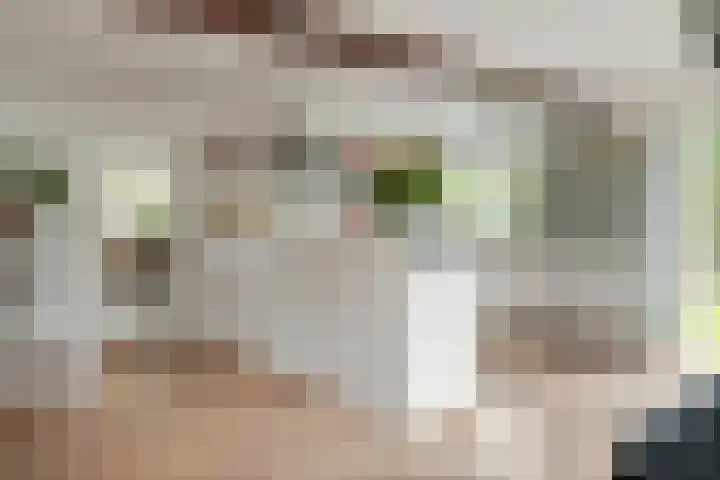Jeudestraat 79 Zoelen thumbnail 9