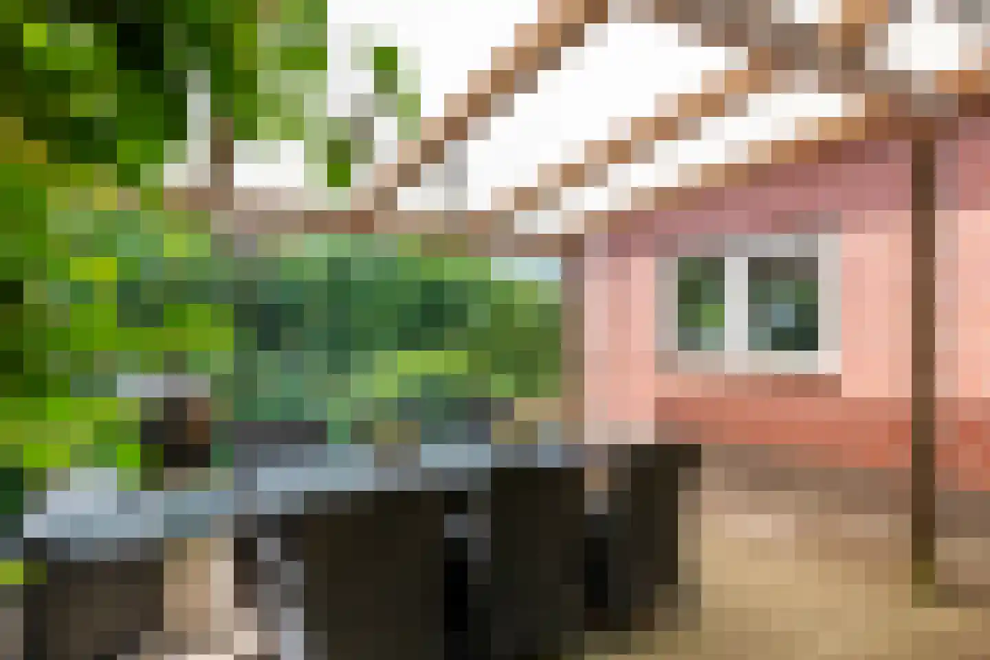 Jeudestraat 99 A Zoelen thumbnail 13