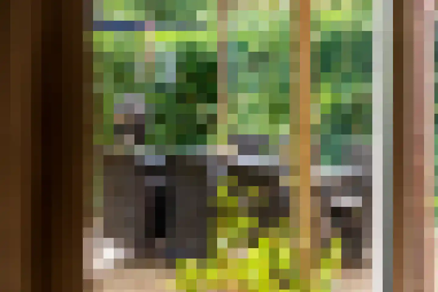 Jeudestraat 99 A Zoelen thumbnail 14