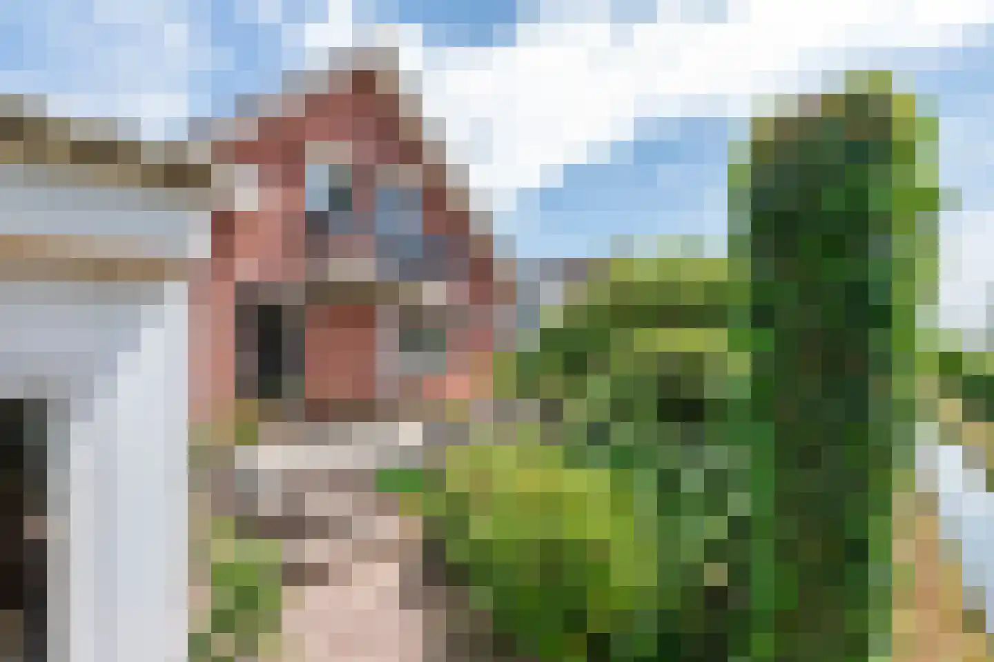 Jeudestraat 99 A Zoelen thumbnail 17
