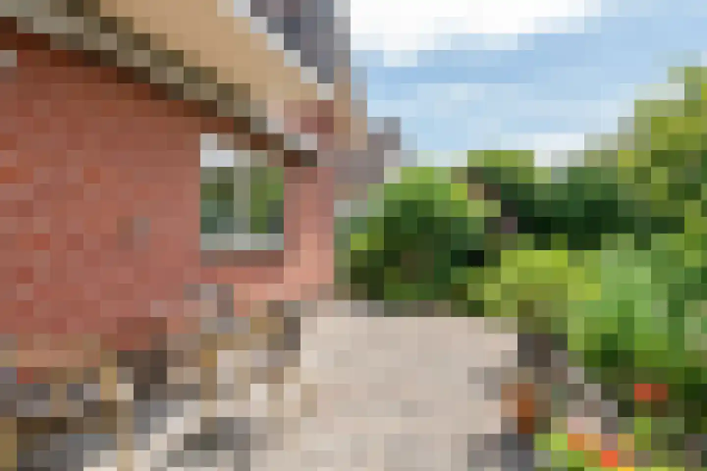 Jeudestraat 99 A Zoelen thumbnail 18