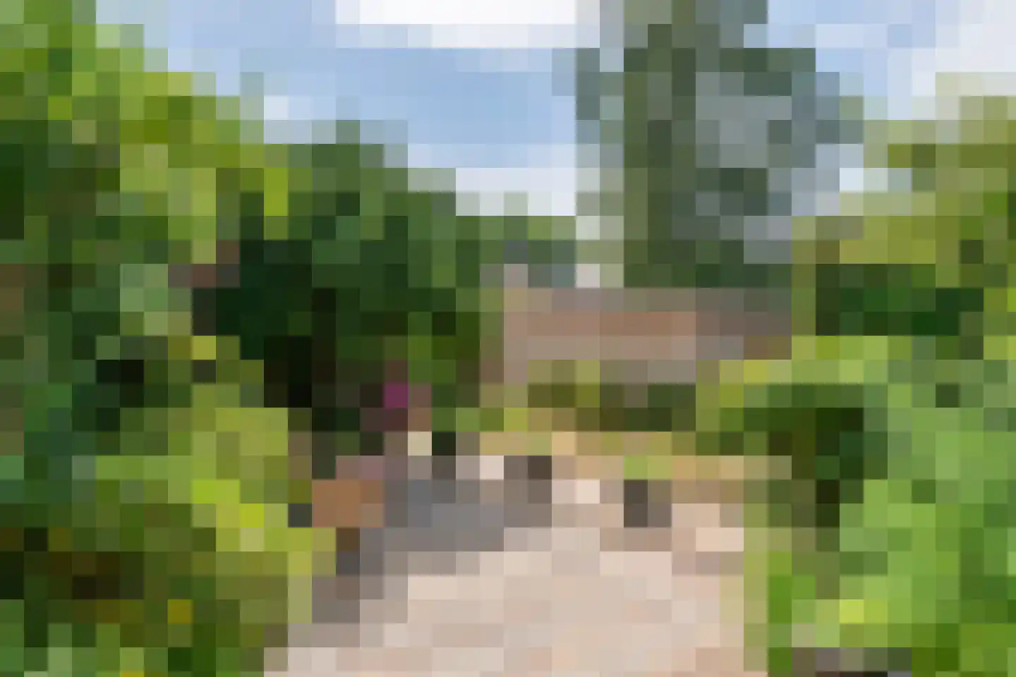 Jeudestraat 99 A Zoelen thumbnail 19