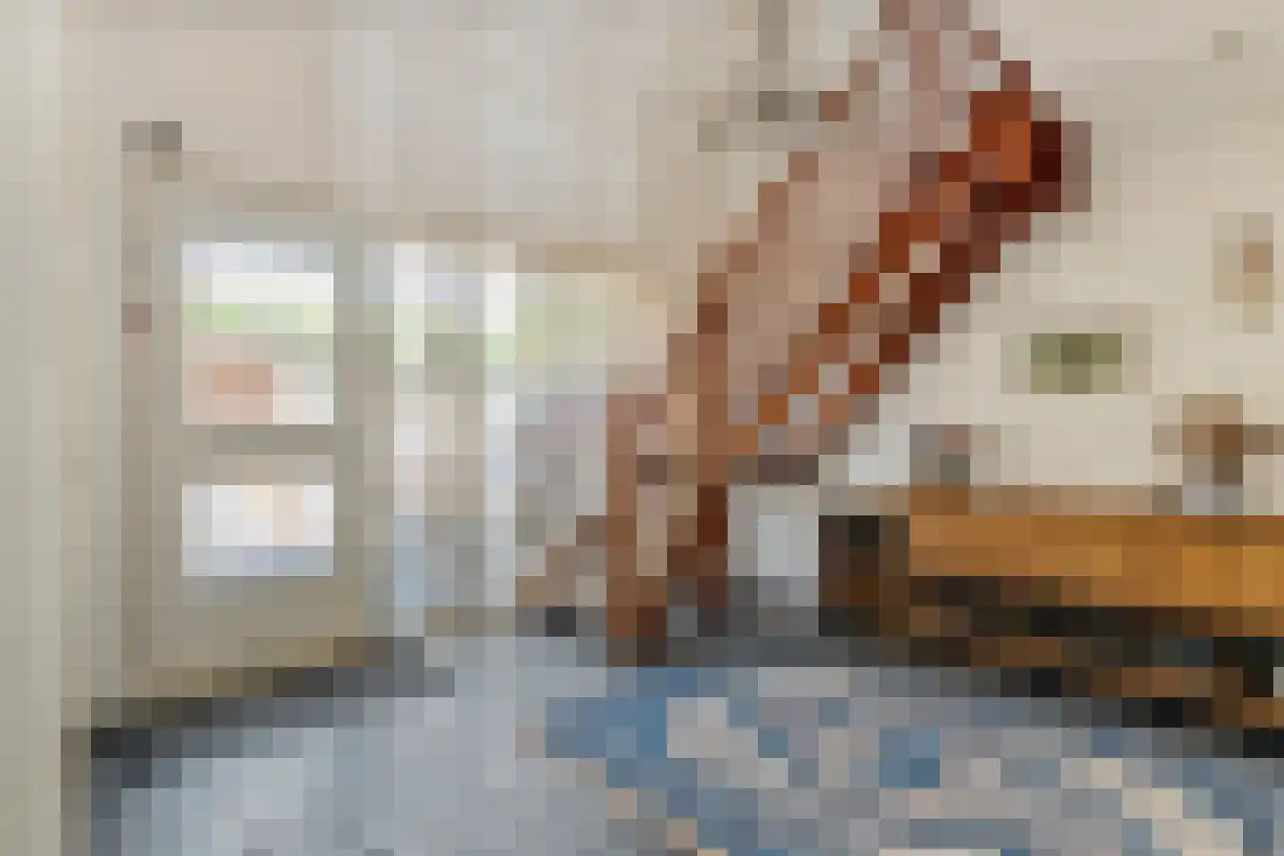 Jeudestraat 99 A Zoelen thumbnail 22