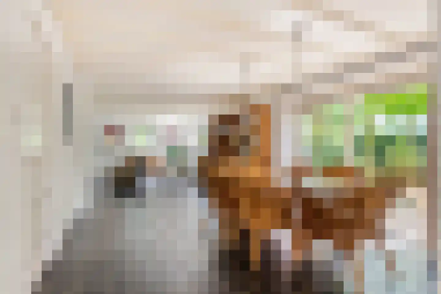 Jeudestraat 99 A Zoelen thumbnail 24