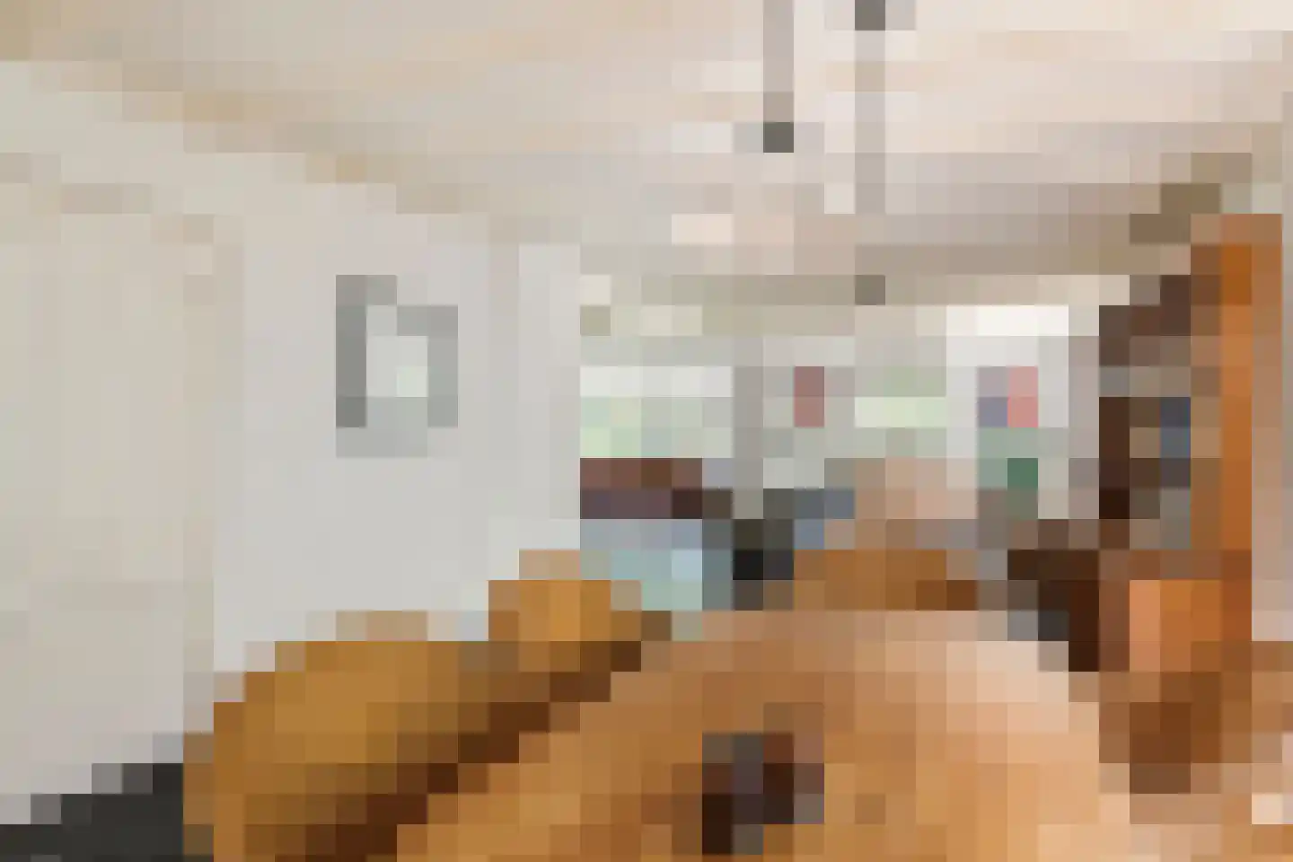 Jeudestraat 99 A Zoelen thumbnail 25