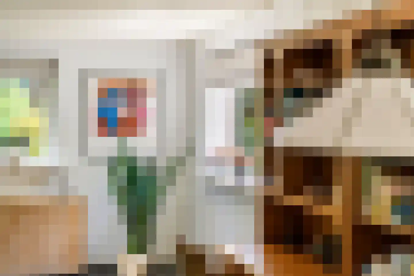 Jeudestraat 99 A Zoelen thumbnail 27