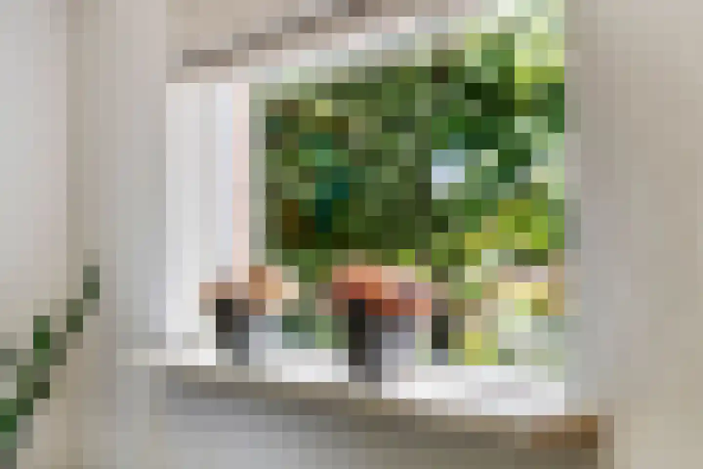 Jeudestraat 99 A Zoelen thumbnail 28