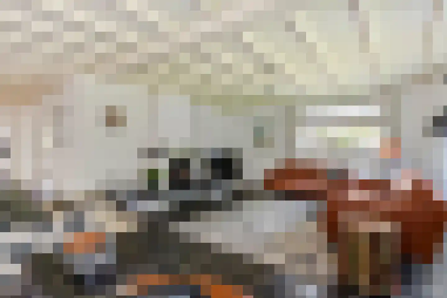 Jeudestraat 99 A Zoelen thumbnail 31