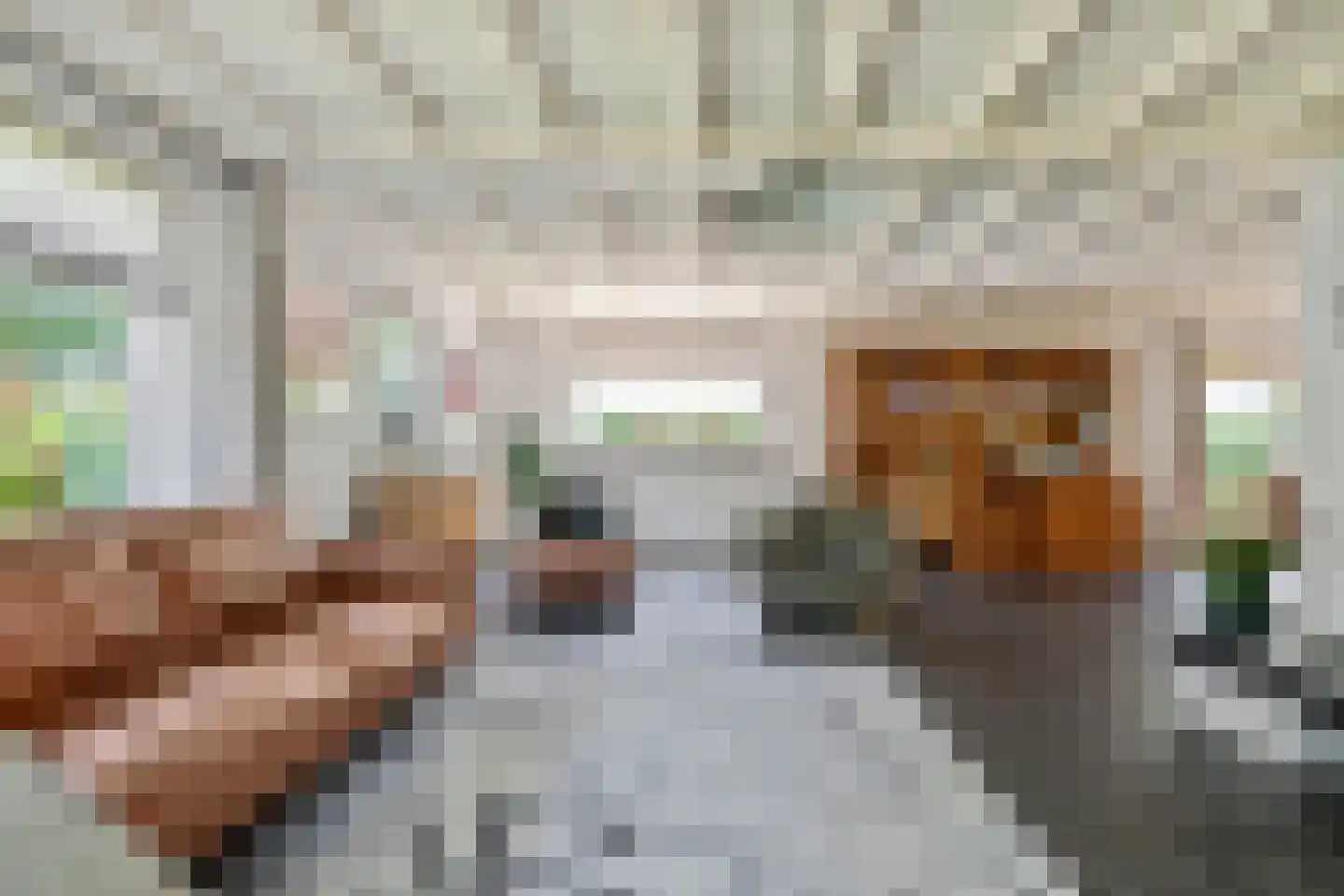 Jeudestraat 99 A Zoelen thumbnail 32